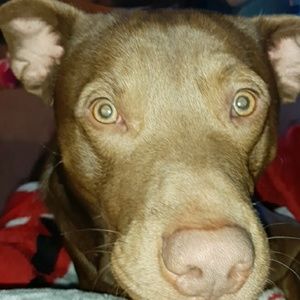 Meet your Posher, Brooke